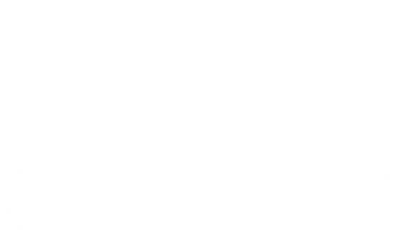 Your Boise Realty Group
